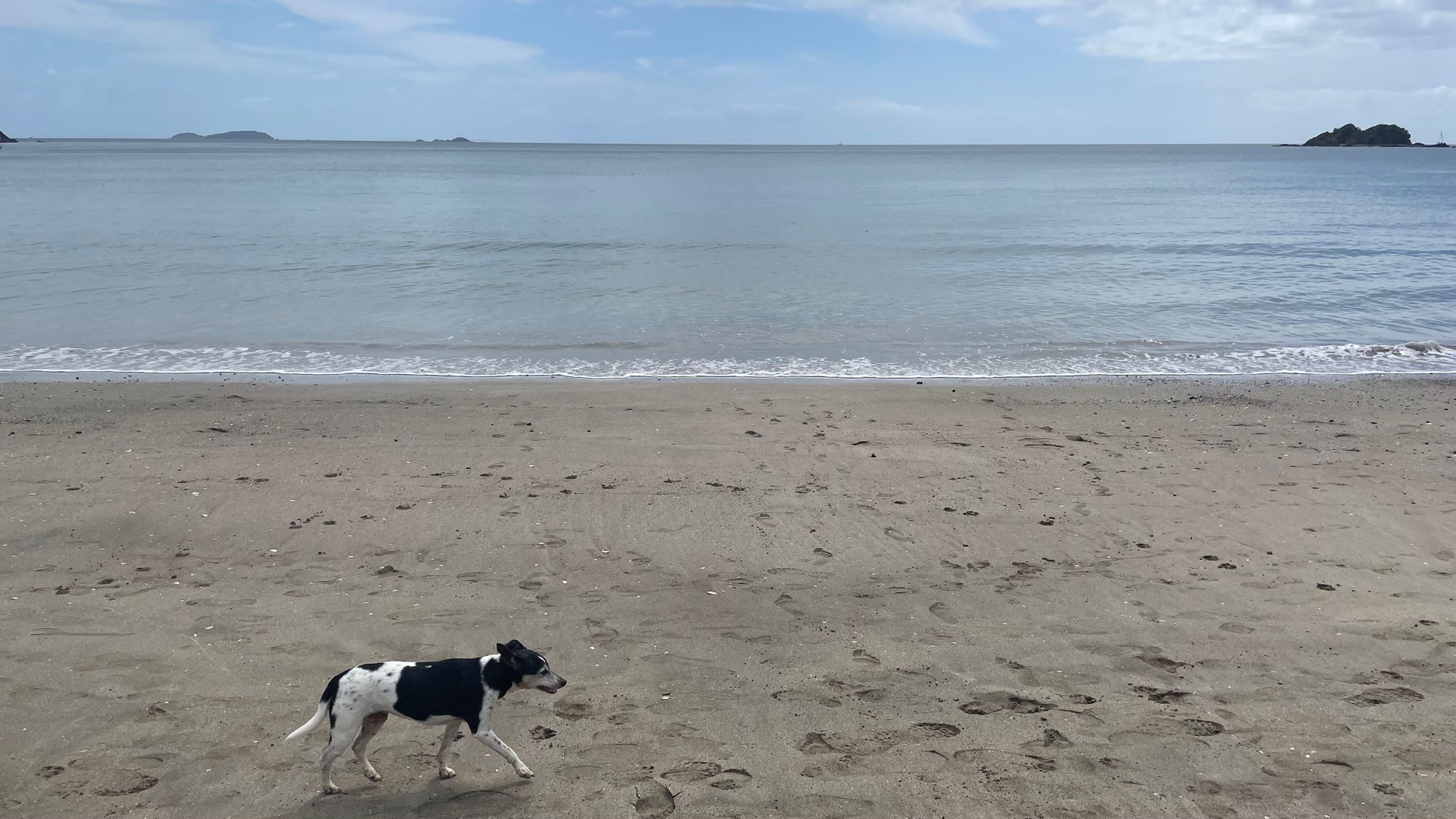 Walking Waiheke - Park Point