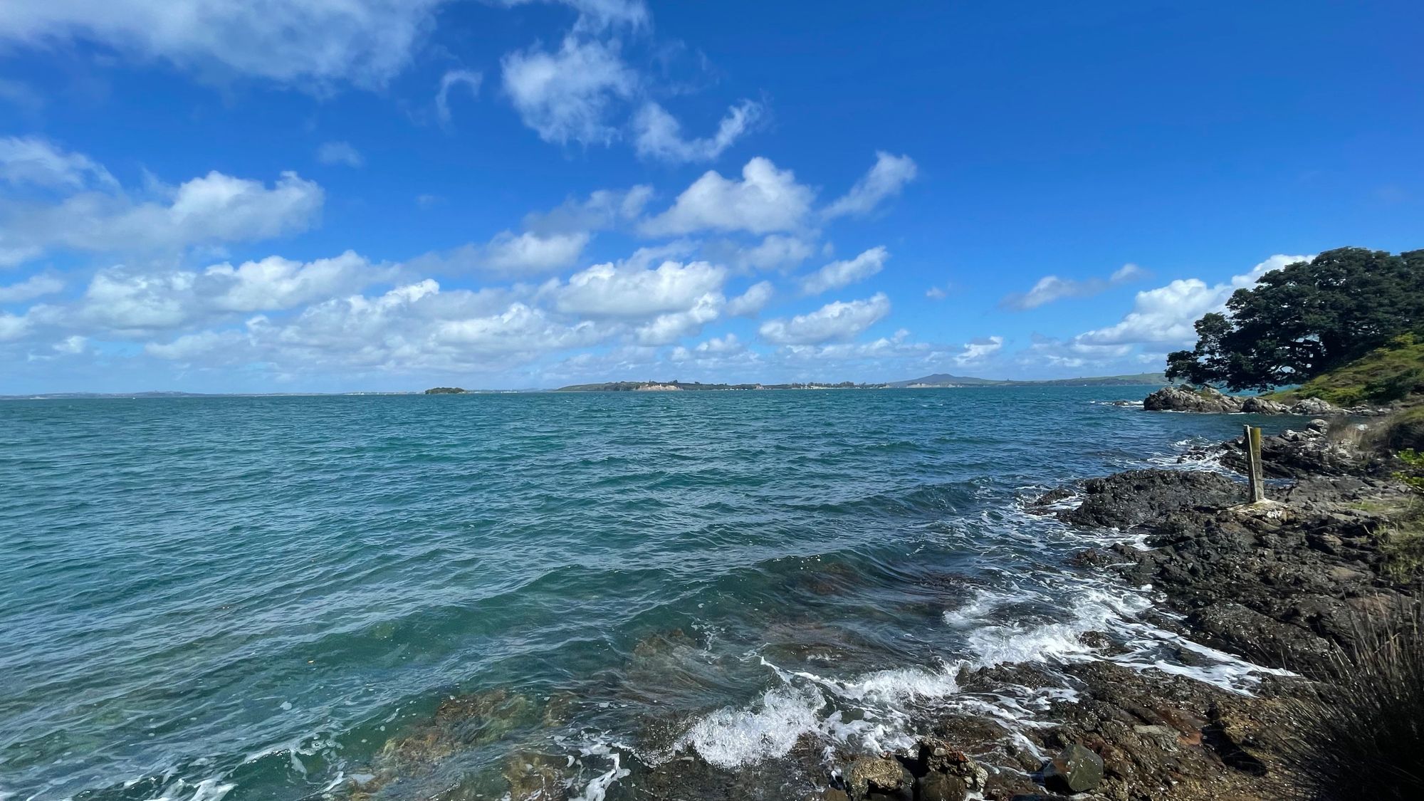 Walking Waiheke - Park Point