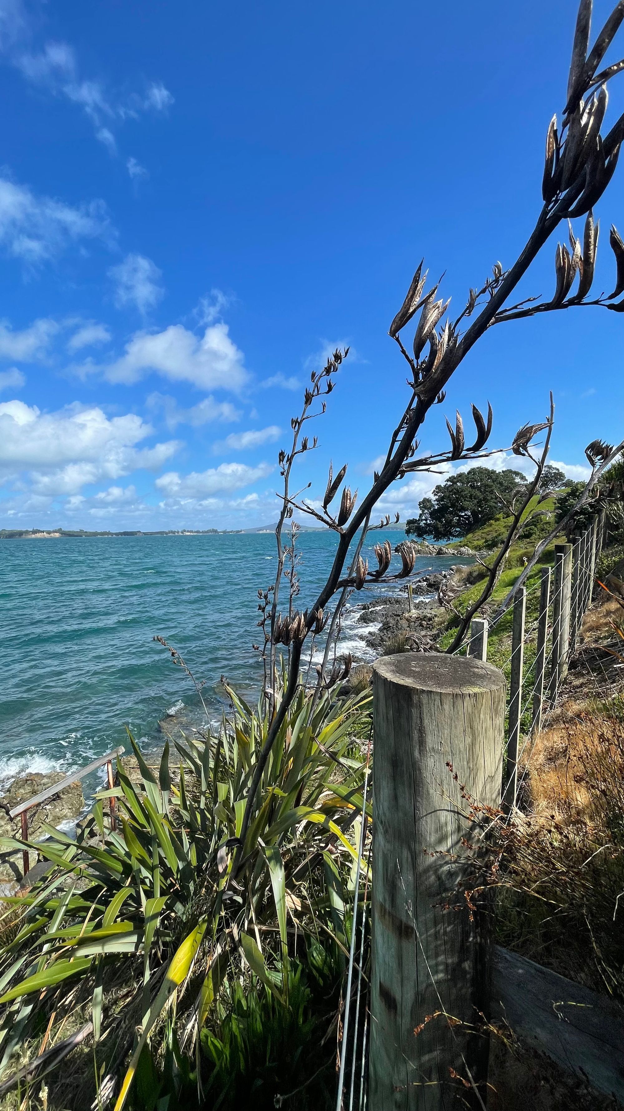 Walking Waiheke - Park Point