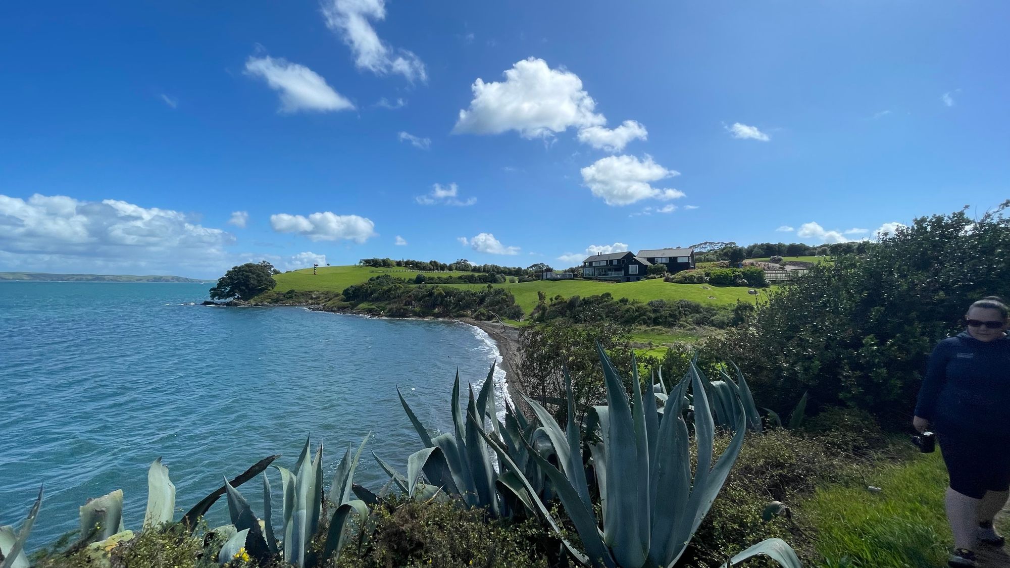 Walking Waiheke - Park Point