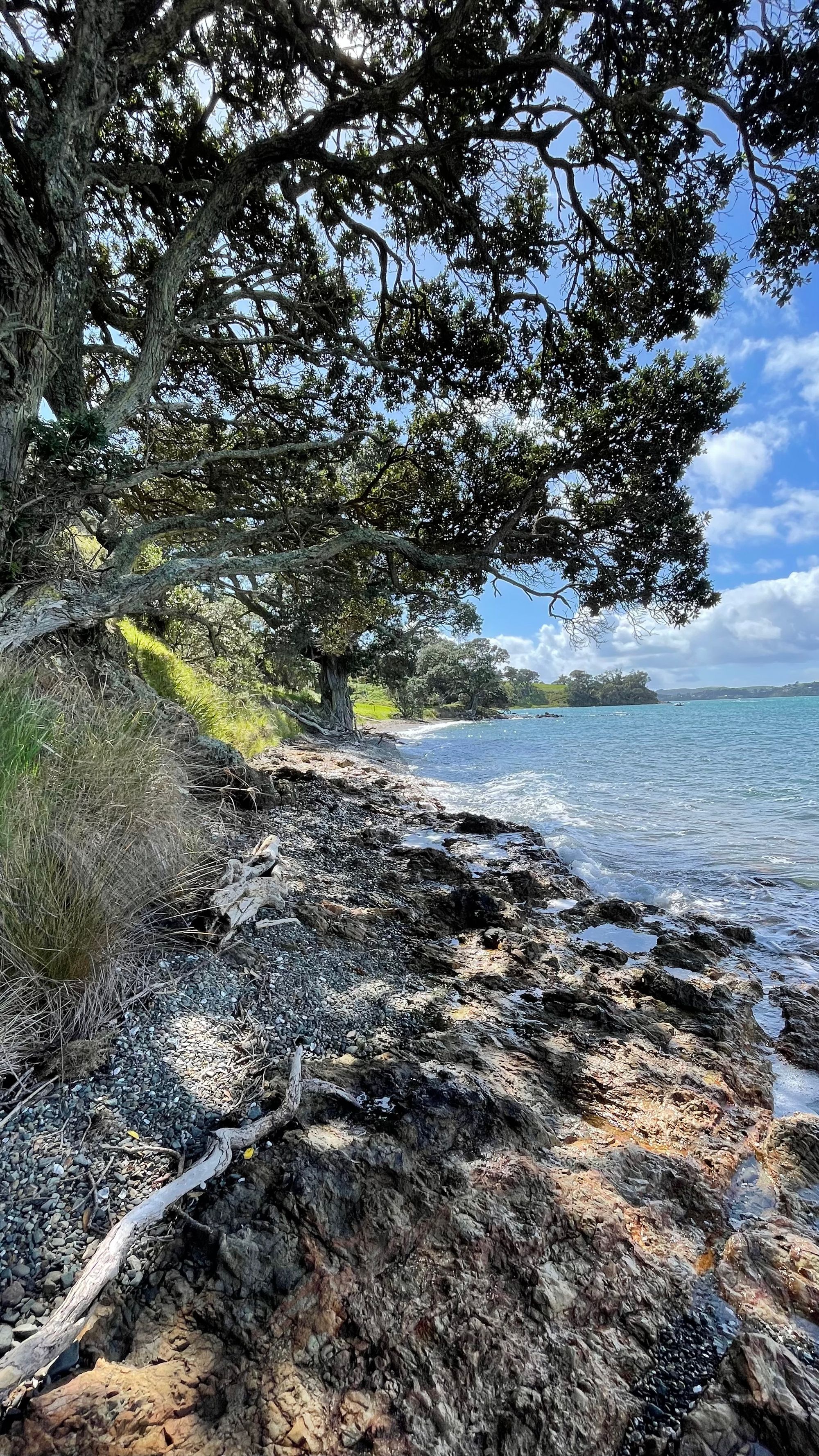 Walking Waiheke - Park Point