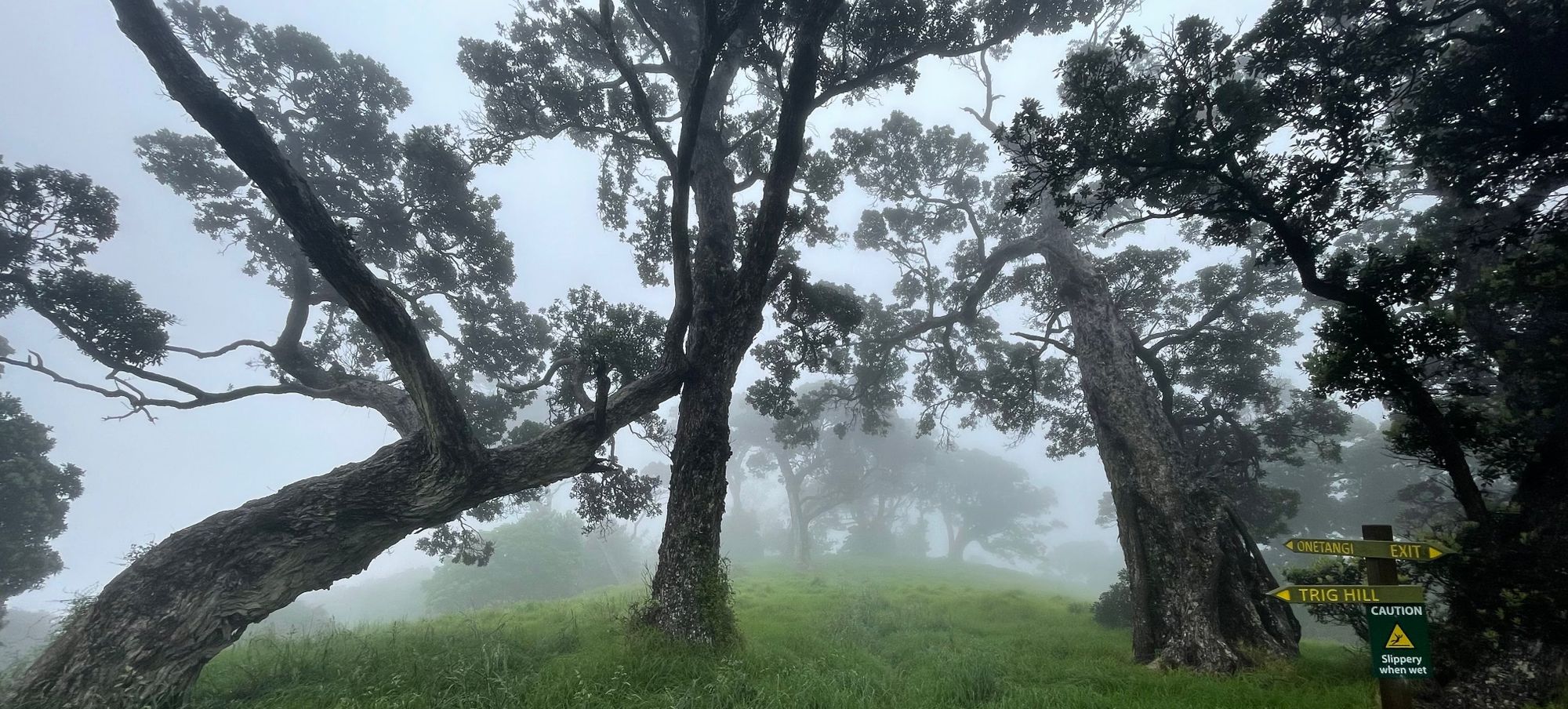 Walking Waiheke - Onetangi in the rain