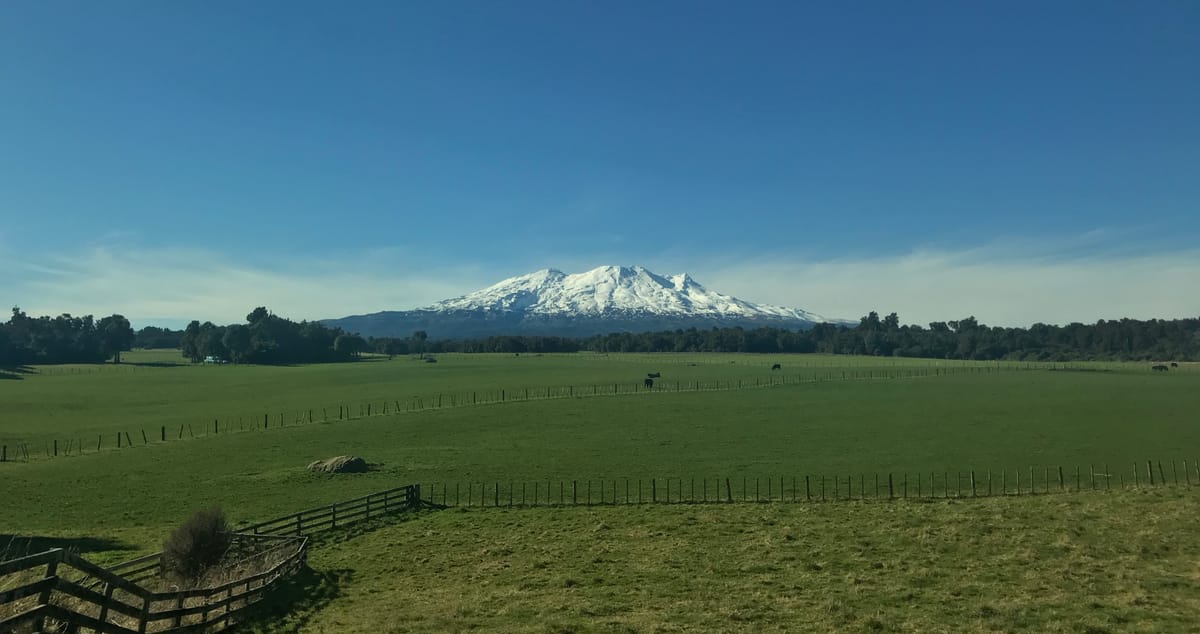 Wellington to Auckland by Train