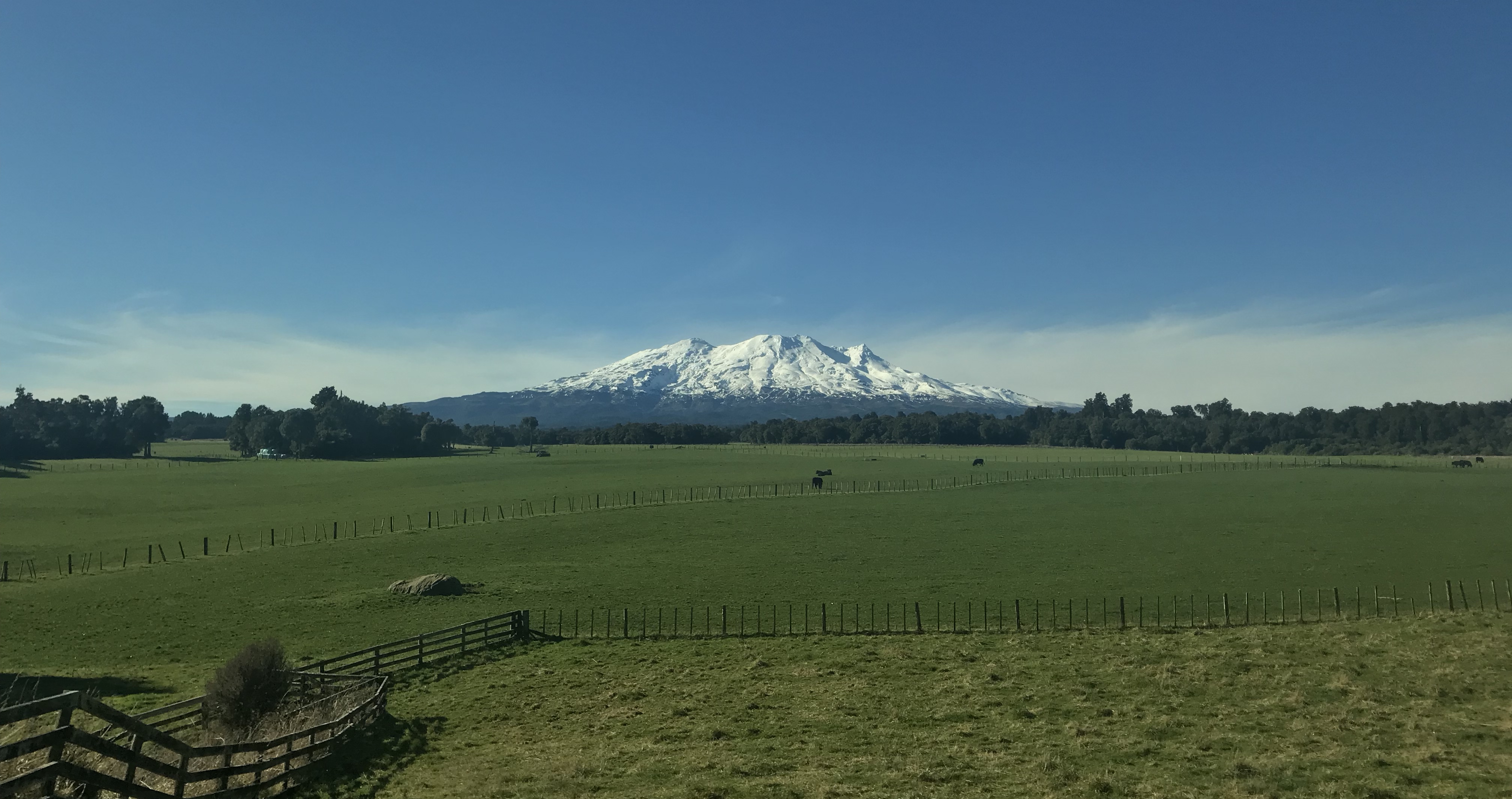 Wellington to Auckland by Train