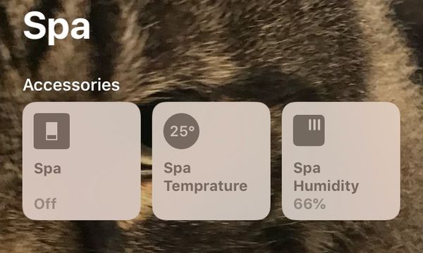 More IoT switch fun with Sonoff and Tasmota